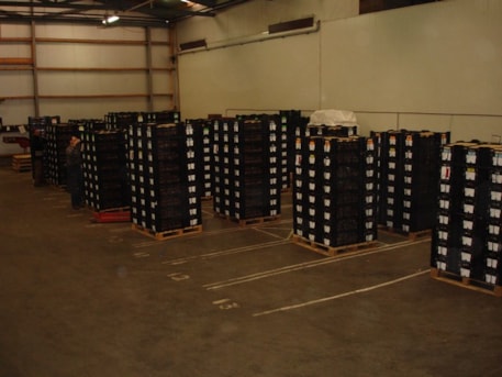 Packing the Bulbs
